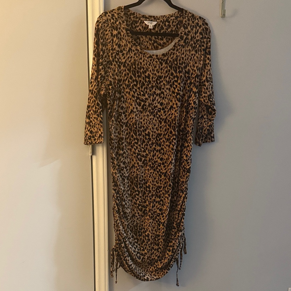 Terra & Sky Animal Print Long Sleeve Dress